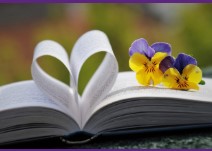 celebration coeur ouvert